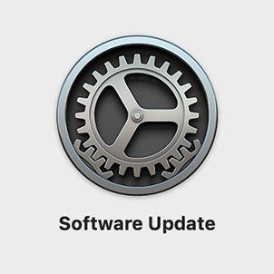 Software update